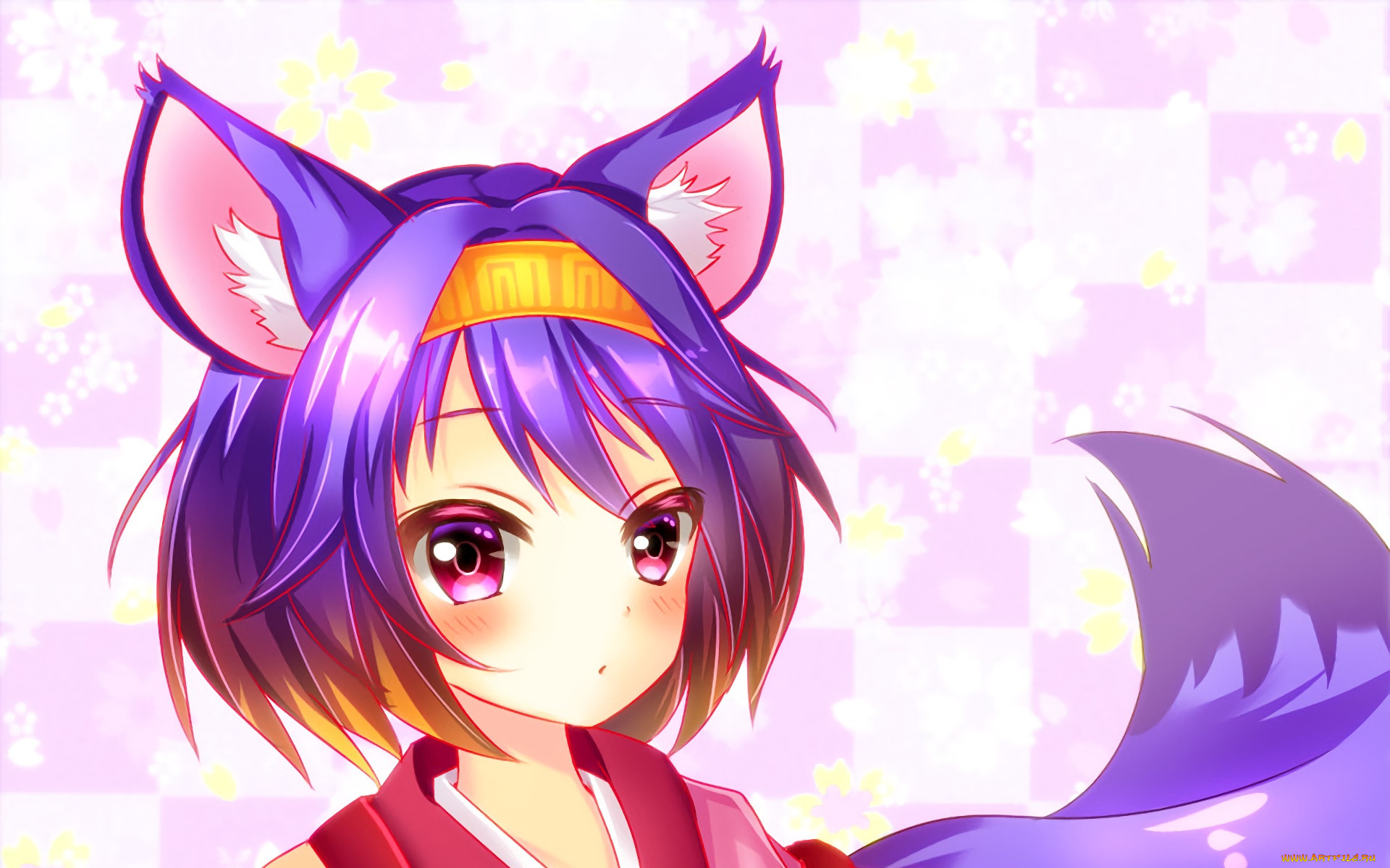 , no game no life, , , 